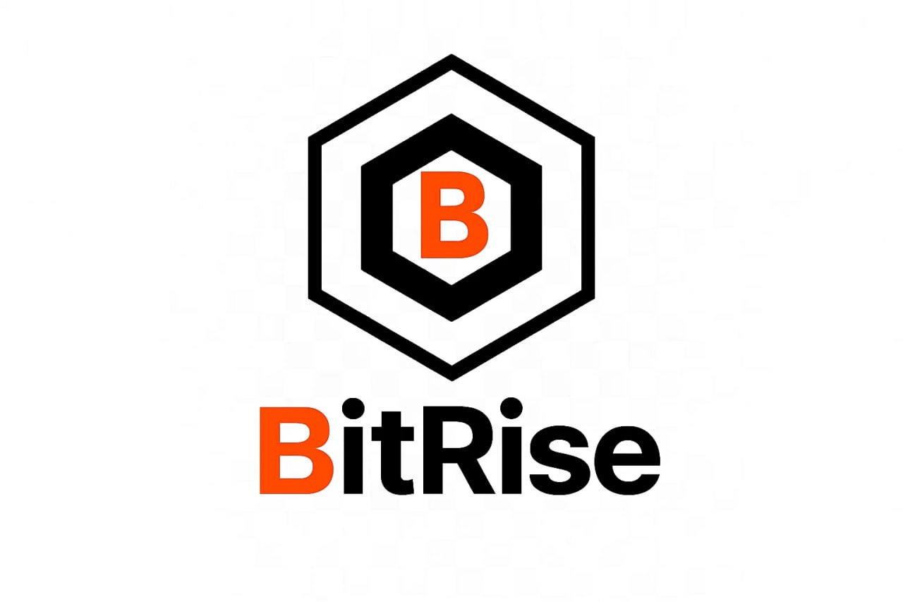 비트라이즈 로고